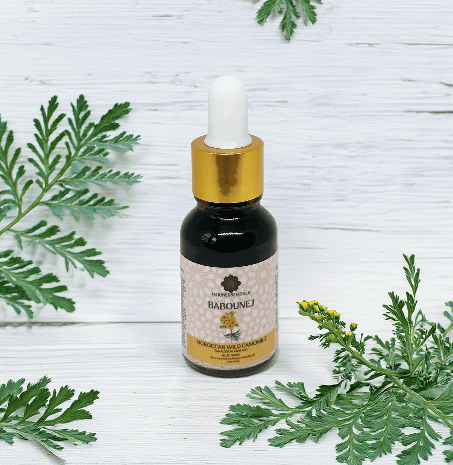 Blue Tansy Essential Oil - 15ml - MounEssentials