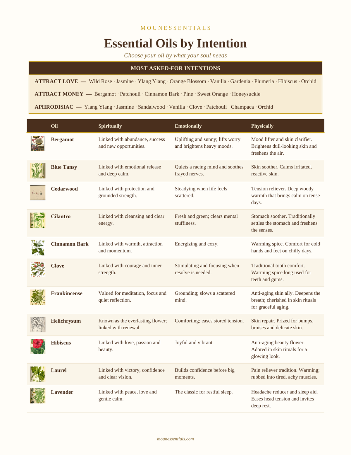 Essential Oils by Intention Guide, Digital Download