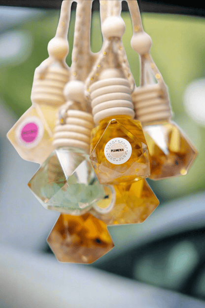 Car diffusers - MounEssentials